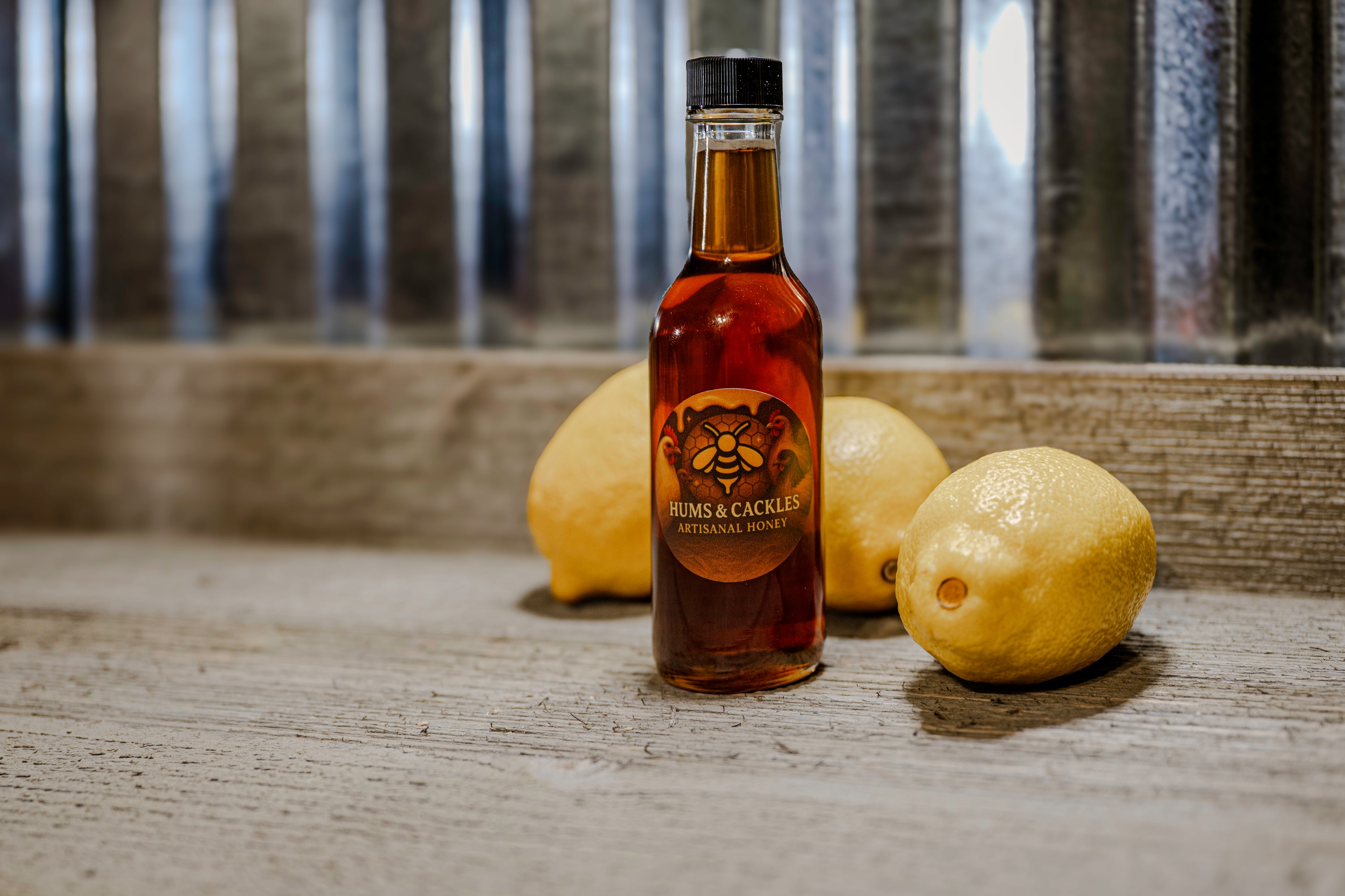 Sunlight & Stillness