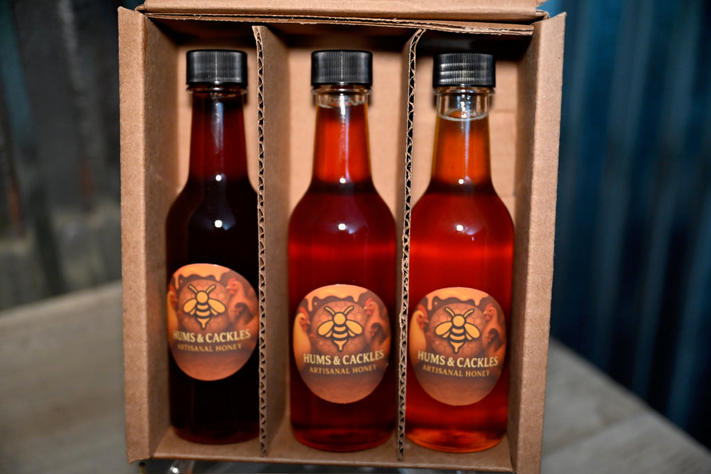 Sunlight & Stillness