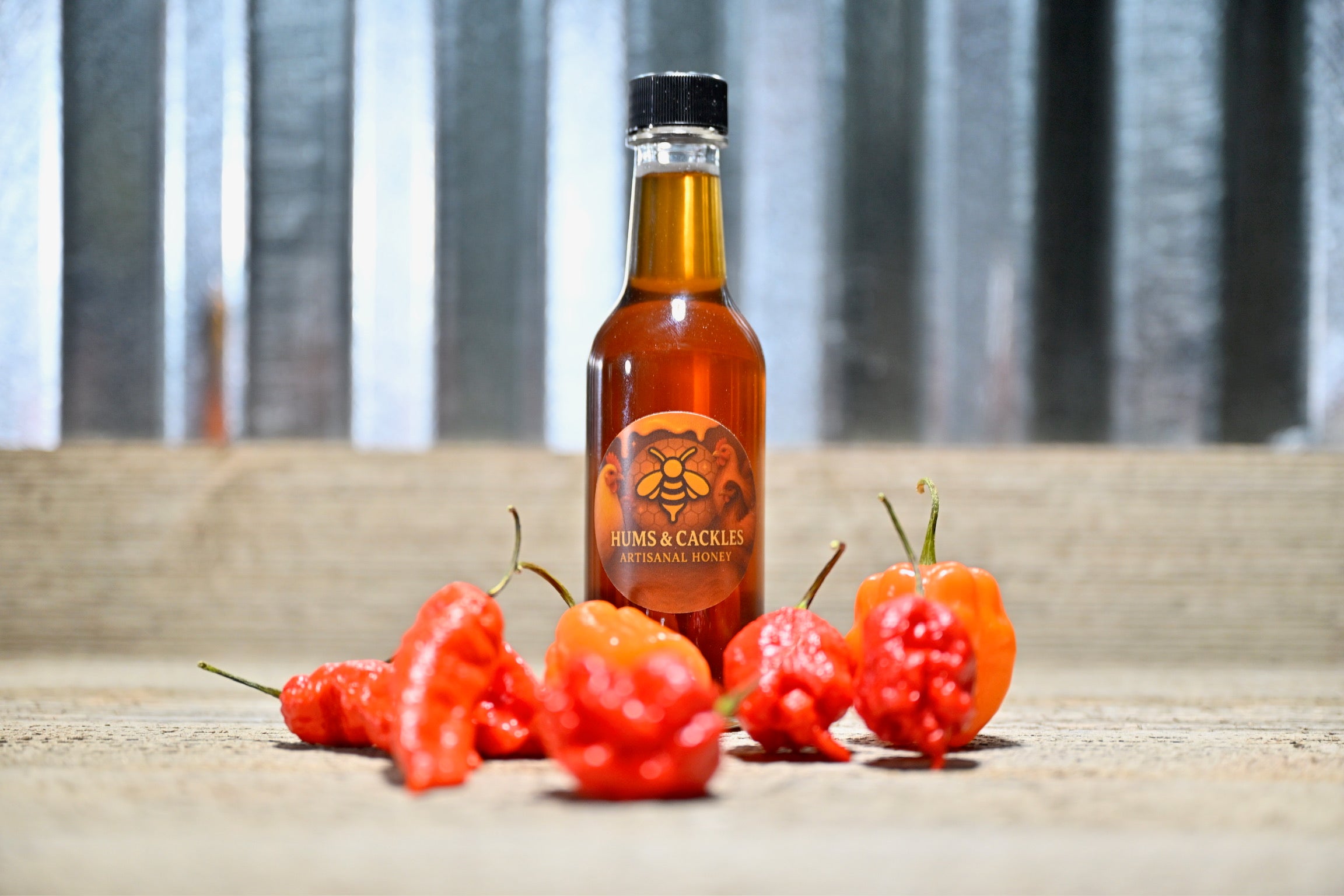 🍯🔥 Hums & Cackles Artisanal Hot Honey (HOT)