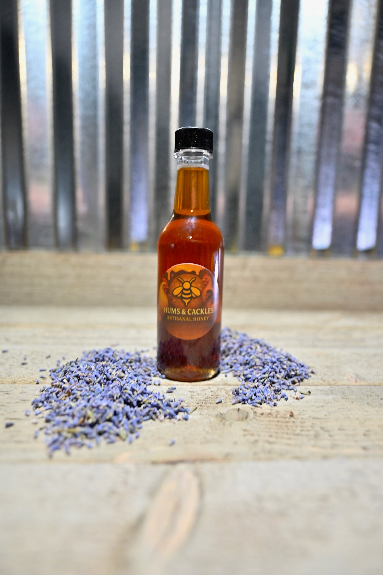 Sunlight & Stillness